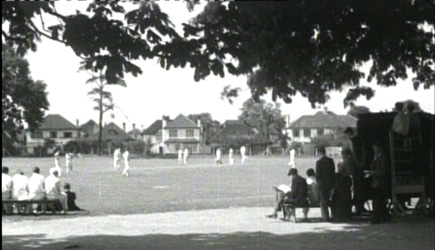 cricketfield2